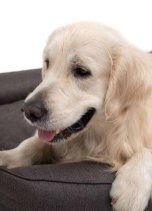 Лежак для собаки sofa gray2 фото