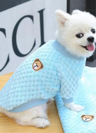 Толстовка для собаки светр з ведмедиком блакитний м розмір