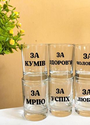 Мужской подарочный набор для водки из 6 рюмок надписями "за"