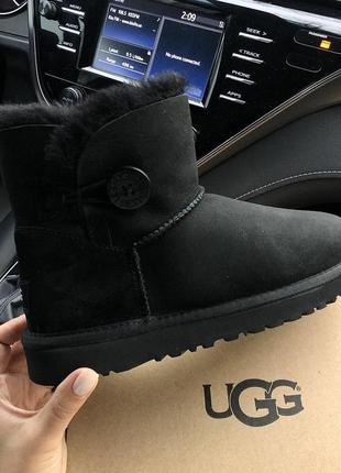 Шикарные сапоги ugg mini с пуговкой и мехом овчины /осень/зима/весна😍4 фото