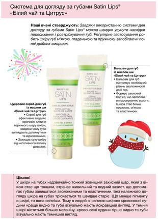 Догляд за губами з маслом ши satin lips mary kay, мері кей