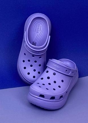 Женские кроксы сабо crocs original classic crush фиолет