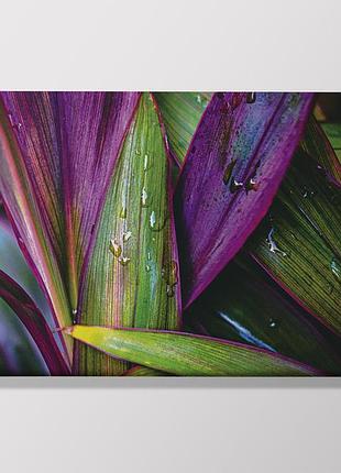 Печатная картина  листья 60х40 см