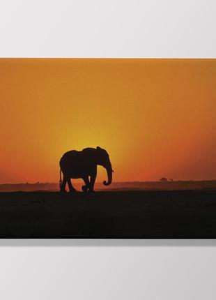 Друкована картина  слон у савані 60х40 см1 фото
