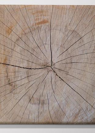 Друкована картина  деревина 40х40 см