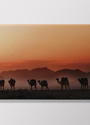 Печатная картина  караван 60х40 см