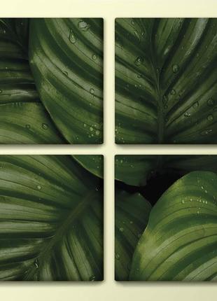 Печатная модульная картина композиция с зелеными листьями quadro 70х70 см