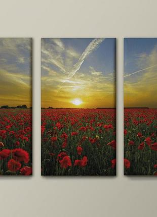 Печатная картина  маковое поле. триптих 90х55 см