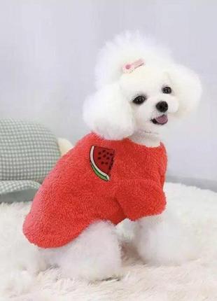 Махровий светр для собак pet style "кавун" червоний