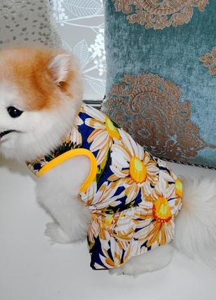 Летнее платье для собак pet style "цветок 3"2 фото