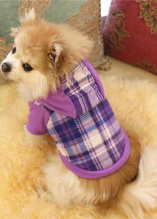 Теплое худи для собак с капюшоном pet style "крупная клетка" фиолетовая6 фото
