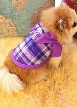 Теплое худи для собак с капюшоном pet style "крупная клетка" фиолетовая3 фото