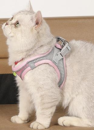 Шлейка анатомічна та повідець 150 см kafuli pet collection для собак та кішок 3-15 кг m рожевий5 фото