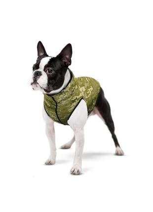 Курточка для собак waudog clothes, рисунок "милитари", размер xs224 фото