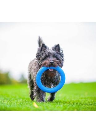 Pitchdog (пітчдог) - кільце іграшка для собак, блакитний3 фото
