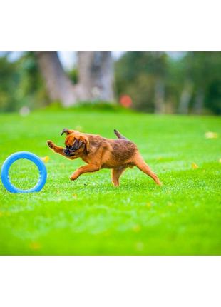 Pitchdog (пітчдог) - кільце іграшка для собак, блакитний4 фото