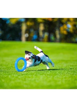 Pitchdog (пітчдог) - кільце іграшка для собак, блакитний6 фото