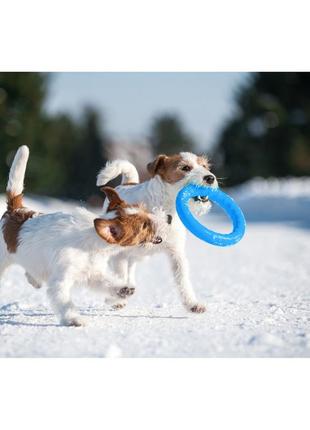 Pitchdog (пітчдог) - кільце іграшка для собак, блакитний7 фото