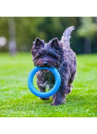 Pitchdog (пітчдог) - кільце іграшка для собак, блакитний5 фото