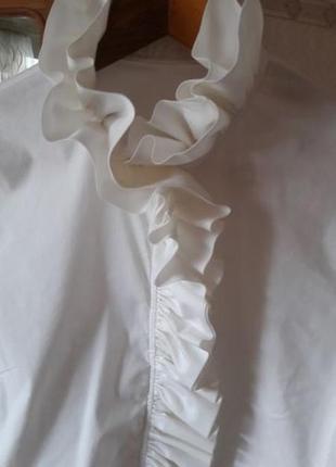 Блуза cotton строго и изящно рубашка