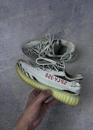 Женские кроссовки adidas yeezy boost v350 zebra