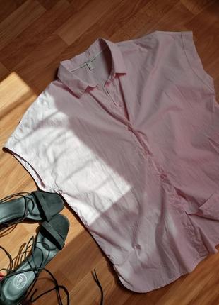 🌹літня сорочка пастельного відтінку в стилі frenkie shop 🌹бавовняна сорочка, блуза, топ1 фото