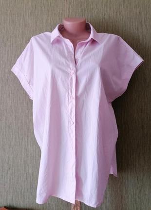 🌹літня сорочка пастельного відтінку в стилі frenkie shop 🌹бавовняна сорочка, блуза, топ3 фото