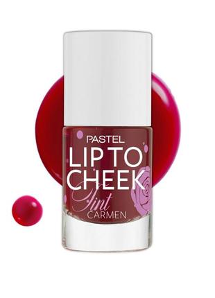 Багатофункціональний тінт для губ та щік pastel lip to cheek carmen 9,6 мл