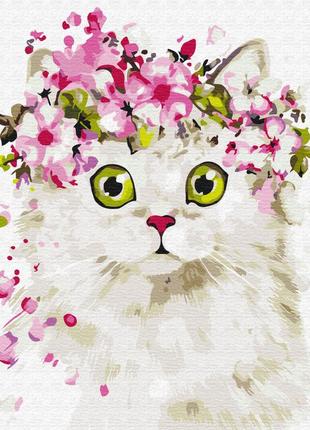 Преміум картина за номерами 40х50 на дерев'яному підрамнику "здивована киця" pbs51840