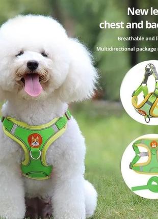 Поводок для животных