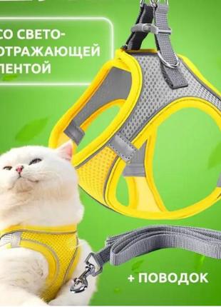 Шлея анатомическая и поводок 150 см kafuli pet collection для собак и кошек 3-15 кг желтый