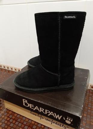 Уггі bearpaw