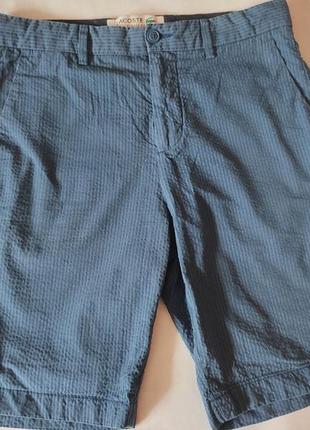 Мужские классические шорты lacoste(оригинал).2 фото