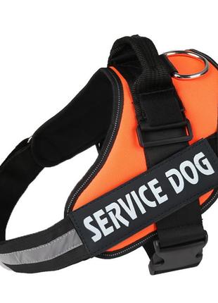 Шлея для собак посилена pet style "service dog" помаранчева