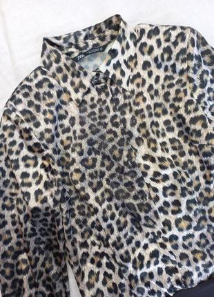 Боді zara боді блуза в леопардовий принт2 фото