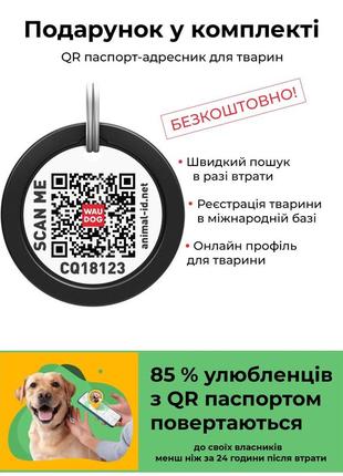 Нашийник для собак нейлон waudog світлонакопичувальний (світиться у темряві, пластиковий фастекс, розмір s (23-35 см), ширина 15 м8 фото