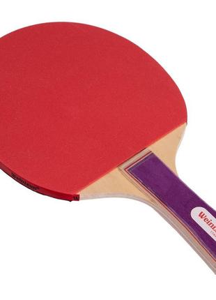 Набор для настольного тенниса 2 ракетки, 3 мяча weinixun mt-21114 фото