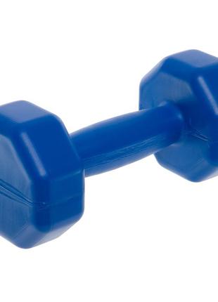 Гантели для фитнеса пара (2 шт. x 1 кг) champion ta-9820-1 синий6 фото