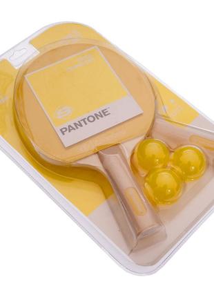 Набір для настільного тенісу 2 ракетки, 3 м'ячі pantone spk1004