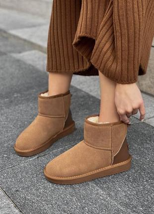 Ugg camel (лакований задник)