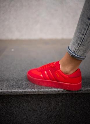 Кросівки жіночі adidas samba адідас самба3 фото