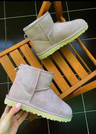 Жіночі черевики ugg classic mini чоботи, уги зимові