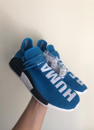 adidas human race blu