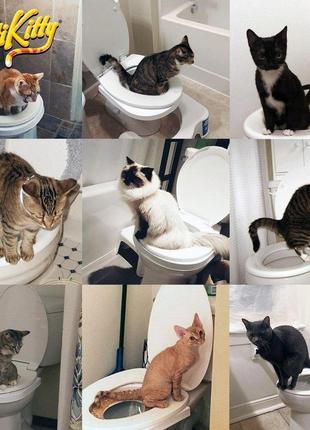 Туалет для кота citi kitty. для приучення кішки до унітазу.3 фото