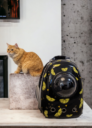 Рюкзак переноска для котів та собачок, контейнер з ілюмінатором1 фото