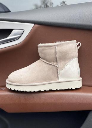 Угги женские ugg classic mini4 фото