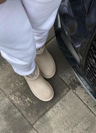 Угги женские ugg classic mini7 фото