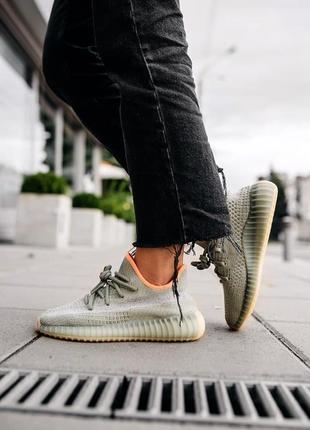 Adidas yeezy boost 350 v2 desert sage5 фото