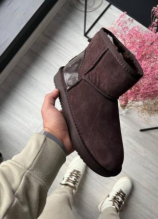 Ugg classic brown v2