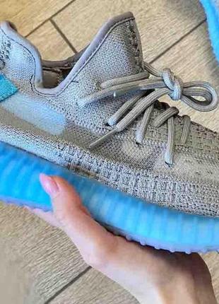 Женские кроссовки  adidas yeezy boost 350 v2 grey & blue